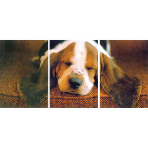 Sleeping Basset Hound Postcard <b>Puzzle</b> <b>Table</b> Decoration & Accessories - Product Image 1