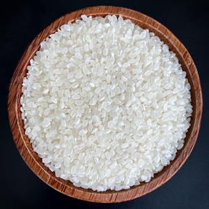 Riz blanc biologique séché à grains longs Camolino/Japonica du Vietnam - Meilleur prix de gros - Contacter Mme Mai Pham WA +84975452493 - Product Image 1