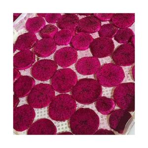 Chips de pitaya rouge 100% naturelles, prix de gros abordable, qualité supérieure, fournisseur de tranches de fruit du dragon séché et moelleux - Product Image 2