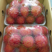 Hete Deal Bevriezen Verse Rambutan Importeert Tropisch Fruit In Vietnam Van Hoge Kwaliteit
