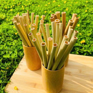 Vente en gros de pailles en bambou biodégradables logo personnalisé et emballage OEM pailles en bambou réutilisables en vrac disponibles fabriquées au Vietnam - Product Image 6