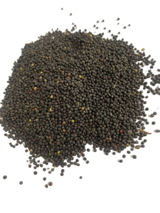 Graines de colza non-OGM, 42% de teneur en huile, qualité supérieure, approvisionnement en vrac, 8% d'humidité, origine Ukraine, marque AGROFOND, durée de conservation de 12 mois - Product Image 2
