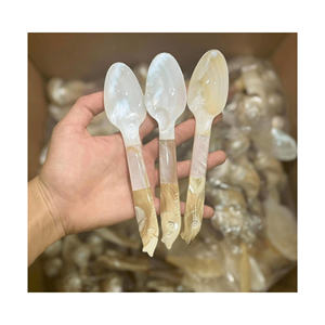 Cuchara de concha natural de Vietnam hecha a mano para uso en hoteles costeros y colocación artesanal de cuchara de concha en mesas de exhibición de comedor - Product Image 4
