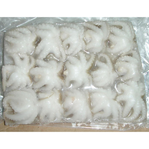 ปลาหมึกแช่แข็งคุณภาพสูงขนาดใหญ่ ราคาสุดคุ้ม - Product Image 6