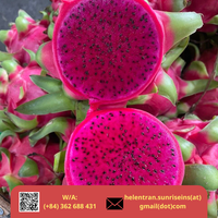Nieuwe oogst 2024 Verse Dragon Fruit Wit Roze Vlees Graad A Sunrise Merk 9kg Netto met Competitieve Prijs