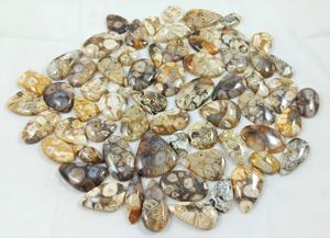 Venta al por mayor de cristales de cuarzo curativos de fósiles de cacahuete natural, gemas sueltas a granel en diferentes formas - Product Image 3