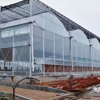 Système d'agriculture commerciale en serre hydroponique multi-voûtes en polycarbonate avec structure en acier galvanisé à chaud
