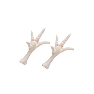 Partie du corps des pattes de poulet congelées de haute qualité avec des vitamines emballées dans des boîtes à vendre en Europe et dans le monde - Product Image 1