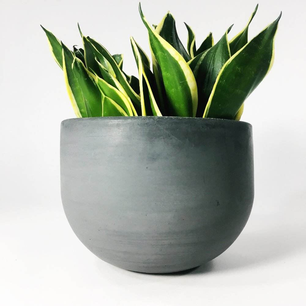 ตามที่แสดง