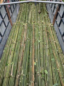 Poteaux de bambou brut séché écologique en gros pour meubles d'architecture de paysage naturel extérieur directement du Vietnam - Product Image 4