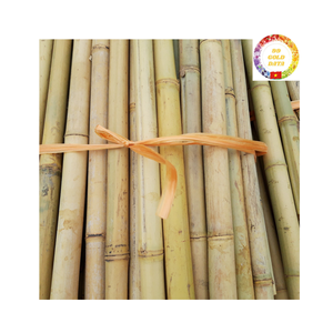 เสาไม้ไผ่ธรรมชาติและประดิษฐ์จากเวียดนามสำหรับตกแต่งในร่มและกลางแจ้งจัดส่งจำนวนมากพร้อมบริการจัดส่งด่วนทั่วโลก - Product Image 2