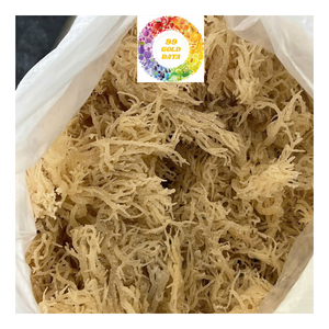 Premium Eucheuma Cottonnii algas secas musgo marino irlandés tamaño grande calidad limpia perfecta para Seamoss ensalada exportación - Product Image 5