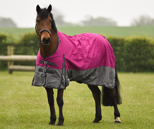 Tapis de cheval d'hiver imperméables à bas prix avec conception personnalisée et construction durable en 100% polyester pour une couverture complète - Product Image 2