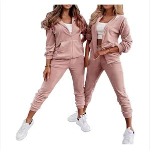 Gran oferta, chándal de terciopelo bordado, conjunto de dos piezas, ropa de mujer, conjunto deportivo de manga larga con cremallera, chándal de terciopelo de todos los colores para mujer - Product Image 5