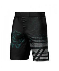 Short Mma de bonne qualité pour homme Short Mma imprimé de logo personnalisé Nouveau style Vêtements décontractés à la mode Short Mma d'entraînement - Product Image 1
