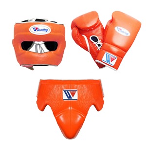 Nouveauté : Ensemble de boxe de qualité supérieure en cuir de vachette, gants d'arts martiaux, kit de boxe avec équipement complet pour le visage, la tête et l'aine - Product Image 1