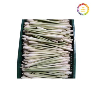 Limoncillo congelado barato para la exportación-El fabricante de Vietnam suministra tallos cortados frescos con ventaja de precio - Product Image 6