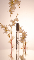 Essence de parfum pour augmenter le charme