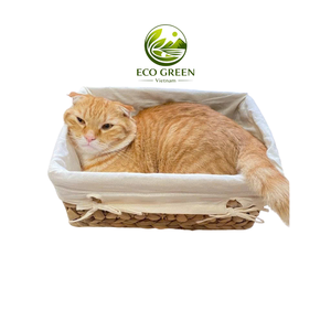 Fabric Lined Water Hyacinth Basket for Home Storage and Gift Packaging Handcrafted Wicker Basket Stylish Storage Solutions - Product Image 1