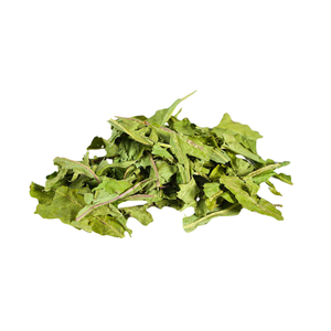 FOURNITURE D'USINE HERBES FEUILLES DE PISSENLIT FEUILLES DE THÉ NATURELLES DE PISSENLIT EN LIGNE - Product Image 3