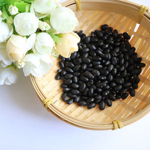 Meilleur prix pour la vente en gros de haricots noirs séchés, commandez en gros et obtenez une réduction - Product Image 5