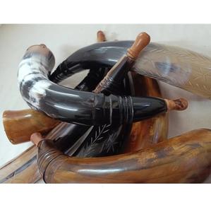 Poudre de corne de buffle indienne polie de haute qualité, boisson, meilleurs cadeaux du meilleur fabricant indien, style animal naturel, cornes à souffler - Product Image 6