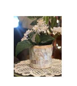 Maceta Moderna de Nácar para Decoración del Hogar y Jardín, Ecológica con un Atractivo Artístico Único - Product Image 5