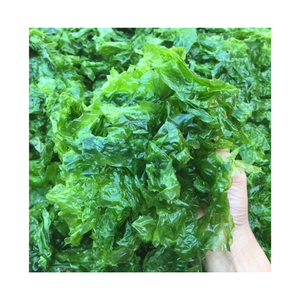 ผงสาหร่ายสีเขียวอบแห้งผงสาหร่ายสีเขียวอบแห้ง - Product Image 5