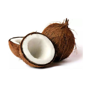 Coque de noix de coco semi-décortiquée biologique pure, fraîche et tendre, approvisionnement OEM du Brésil, qualité A - Product Image 6