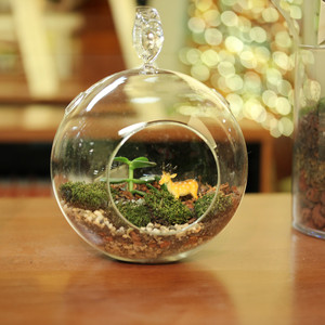 HCH0107 - ตู้กระจกแขวนใส - 8 นิ้ว - Product Image 4