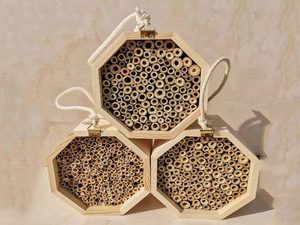 Tubes en bambou MEILLEURE VENTE pour insectes, idéaux pour la construction d'habitats pour les abeilles, le soutien à l'agriculture et l'exportation écologique au Vietnam - Product Image 2