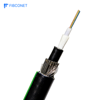 Câble à fibres optiques GYXTY à tube central lâche, 2, 12, 24 cœurs, avec renfort en fil d'acier, pour conduite aérienne extérieure