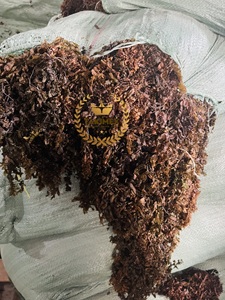 Wholesale Dried Sargassum Seaweed Sargassum Seaweed Premium Sargassum Seaweed For Export In Bulk - Product Image 6