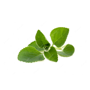 Huile essentielle pure Kanha Nature Oils Huile de transport de bourrache pressée à froid Graines de soin nourrissantes anti-âge de qualité supérieure - Product Image 3