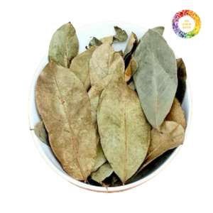 Feuilles entières séchées de corossol vert feuilles sèches, vente en gros de feuilles séchées de Graviola pour l'exportation, corossol séché Guanabana Graviola - Product Image 1