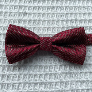 Chemises habillées pour enfants avec nœud <span class=keywords><strong>papillon</strong></span>, mode classique pour garçon, pour les fêtes, les mariages et les événements formels, accessoires élégants pour garçons avec nœud <span class=keywords><strong>papillon</strong></span> - Product Image 6