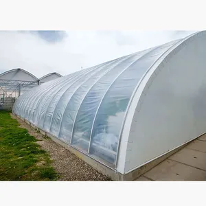 Plastic Film Greenhouse Manufacture Agricultural Tunnel Greenhouses for Tomato Planting Passive Solar Green House