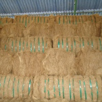 Fibres de coco séchées écologiques naturelles pour la plantation, longueur 15-20 cm, faible teneur en poussière et impuretés