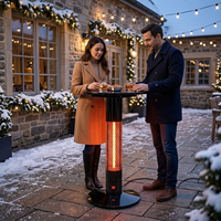 Table chauffante infrarouge électrique télécommandée ELCON RCBT 1100, type bar, 1500W, noire, matériau DKP, 110cm, sur mesure