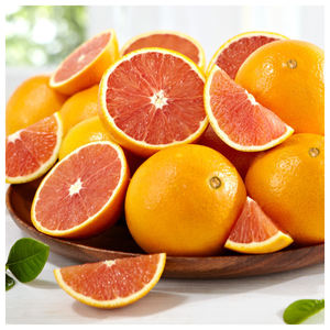 Naranjas Valencia Navel Frescas Orgánicas de Primera Calidad al por Mayor - Product Image 1