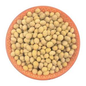 Vente en gros de graines de soja jaunes naturelles sans OGM de haute qualité/soja/soja. - Product Image 3