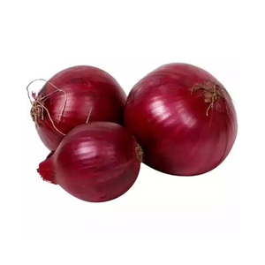 Red <strong>Onion</strong> best quality cheap price - Product Image 5