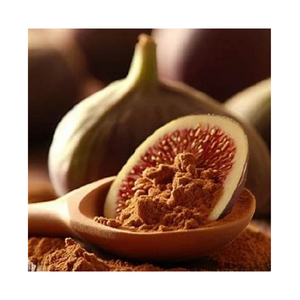 Herbojit International Indian Manufacturer Supplied High Quality Natural Spray-Dried <b>Fig</b> Extract Powder Healthy Food Additive - Product Image 1