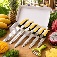 Ensemble de 6 couteaux de cuisine en acier inoxydable avec manche en plastique, comprenant un éplucheur et un couteau à fruits, outils de cuisine pour la maison, vente en gros