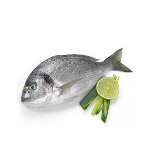Meilleur prix pour le poisson brème frais et congelé provenant de nos fermes en Belgique - Product Image 1