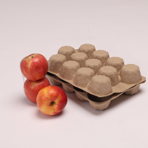 Vina Green Pack Ready to Export Fruit <b>Paper</b> <b>Tray</b> Fruit Container Customized Packaging Solutions Green <b>Paper</b> Fruit <b>Tray</b> - Product Image 4