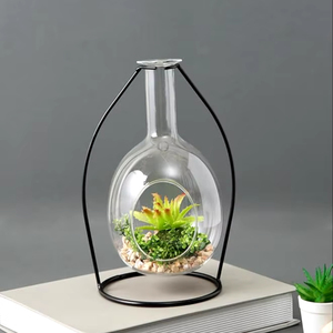 Terrario Redondo de Cristal, Terrario Geométrico de Cristal, Macetero Moderno, Centro de Mesa para Bodas, Terrario para Plantas Aéreas, Macetero para Suculentas - Product Image 1