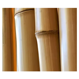 Top Cheapest Indoor and Outdoor Landscape <b>Fence</b> <b>Bamboo</b> Pole Manufactered in Viet Nam by Vigi Farm - Product Image 1