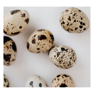 HUEVO DE CODORNIZ EN CONSERVA DE EXPORTACIÓN SUPERIOR DE PROVEEDOR VIETNAMITA CON PRECIO BARATO - Product Image 4