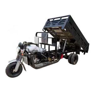Well-Selling Five-Wheel OEM Truck Cargo Tricycle Motorized 200cc-300cc Engine Open Body Type Three-Wheel Motorcycles Sale
